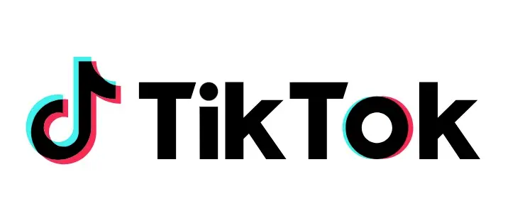 TikTok delivery